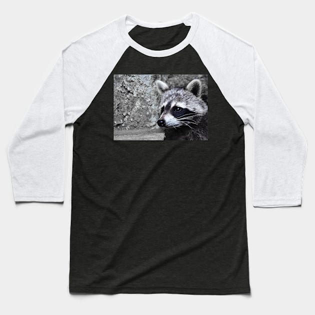 Raccoon Baseball T-Shirt by DeVerviers